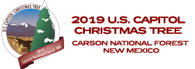 2019 Capitol Christmas Tree