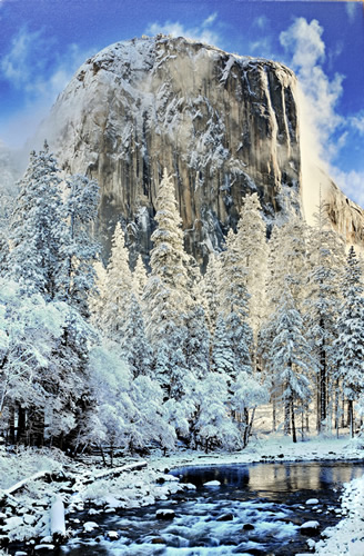 DUBLIN PHOTOGRAPHER WINS U.S. CAPITOL CHRISTMAS TREE ART COMPETITION