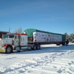 Capitol Christmas Tree 2010