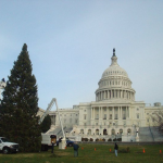 capitolchristmastree2010arrives
