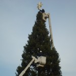 Decorating the Capitol Christmas Tree