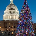 Capitol Christmas Tree 2010 lighting
