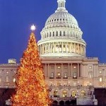 The Capitol Christmas Tree 1999