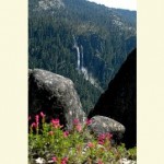 Stanislaus National Forest