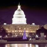 Capitol_Christmas_Tree_-_Dec_6,_2006